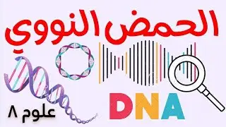 الحمض النووي D N A #علوم ٨