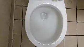 2015 Glacier Bay High Efficiency Toilet