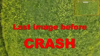 How to recover a drone from a vast rape field