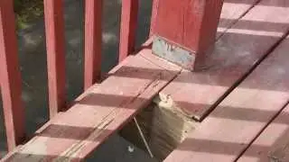 Deck Board Replacement with an upright post in the way