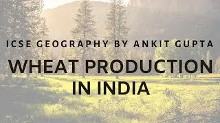 Wheat Production in India