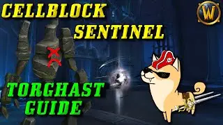 Torghast Boss Guide: Cellblock Sentinel in Under 3 Minutes