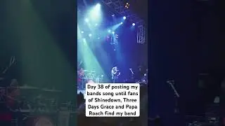 ATTENTION FANS OF SHINDOWN , P-ROACH, 3DG AND LP! #rockmusic #paparoach #linkinpark