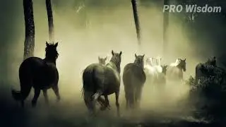 बुद्धि vs ताकत । कौन जीतेगा ?? _ Wisdom story