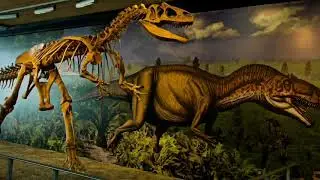 Dinosaur Diamond Driving Tour