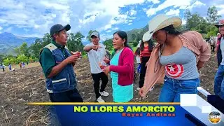 No llores amorcito - Los Rayos Andinos - Estreno 2026 Crismi Producciones
