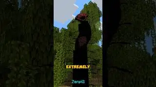 Hunted By The Boiled One