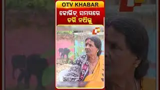 କୋଭିଡ ସମୟରେ ଡରି ନଥିଲୁ #leprosyawareness #humanstories #realstories #otv#odishatv