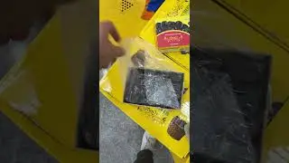 Exporting Mazafati & Zahedi Dates &ndash; Best Quality Guaranteed