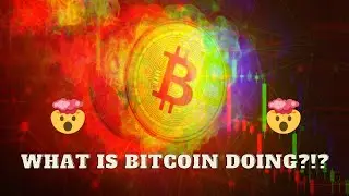 WHAT IS THE PRICE OF BITCION GOING TO Beyond The Crypto Currencies