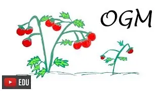 Melhoramento genético de plantas! | #InstanteBiotec 06