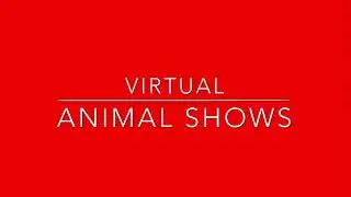 Virtual Animal Show