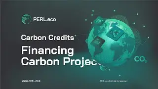 PERL Carbon Explainer 7: Sources of Finance for Carbon Project Development