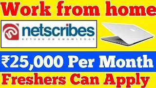 Netscribes Work from home Job 2022|English to Hindi Translator Job|Work from home job 2022|Jobgirl