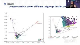 A Population-Specific Major Allele Reference Genome From The UAE Population - Habiba Al Safar