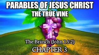 Parables of Jesus Christ (Chapter 3) - The True Vine: THE BRANCH