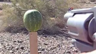 Judge with PDX 1 ammo