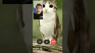 dece ma suni vreau sa ma joc