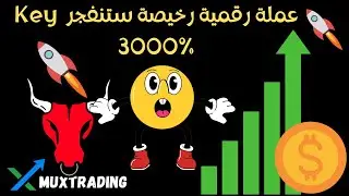 Selfkey 3000 % عملة رقمية لها مستقبل 2024 | عملة رقمية رخيصة ستنفجر