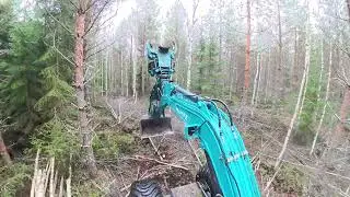 Puun kaato ja tienteko