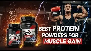 Top 5 Best Protein Powders for Muscle Gain 2026