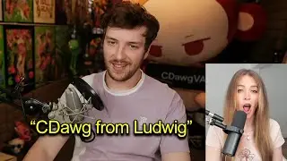 QTCinderella witnesses CDawg's most devastating moment