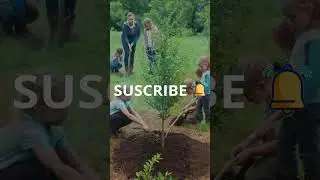 what is citizen science in modern research
