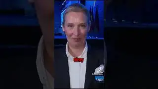 AfD im Vergleich mit den USA: Wie gef&auml;hrlich ist ihre Politik wirklich?