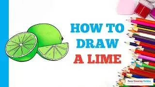 How to Draw a Lime: Easy Step by Step Drawing Tutorial for Beginners