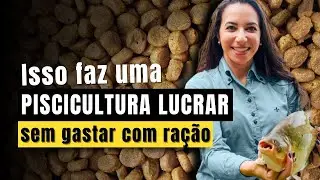 Truque para faturar mais na piscicultura sem dar ração | Atalhos e Obstáculos EP: #055