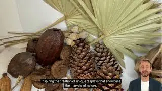 Natural Dried Value Box