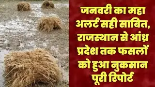 जनवरी का महा अलर्ट सही साबित, राजस्थान से आंध्र प्रदेश तक फसलों को हुआ नुकसान पूरी रिपोर्ट