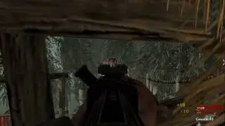 CoDWaW Shi Nu Numa 1/3