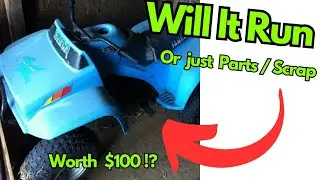 $100 Yt60 4 Zinger  Rider or Parts & Scrap (Worth it!?)