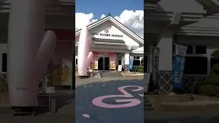 Colorful Surprise: Gingers Are Pink! Explore at Tochigi's New Ginger Museum!