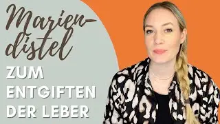 Mariendistel zur Leberentgiftung: Altbew&auml;hrtes Hausmittel | + Wissenschaftliche Belege