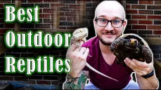 Top 5 Reptiles That THRIVE Outside