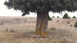 Imagenes de Valdecuenca, en la Sierra de Albarracin (Teruel)
