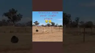 gravity is still working 😂😂😂😂😂😂😂😂😂😂😂😂😂😂😂😂😂😂😂😂🤫😂😂