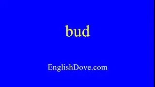 How to pronounce bud in American English.