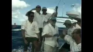 Rock the Boat