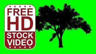 Free Stock Videos &ndash; animated american elm tree silhouette on green screen with random wind