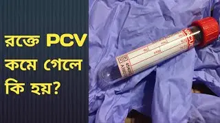 রক্তে PCV কমে গেলে কি হয়? | PCV Blood Test | Normal Value 