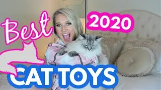 Favorite Cat Toys 2020 | My Cat Shares Favorites and Fails of 2020 | Best Cat Toys | Cat Lovers Only