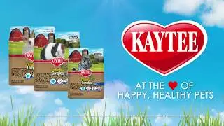 Kaytee Timothy Complete - Small Animal Food