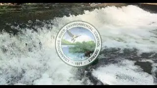 Reclaimed Water for Irrigation Reduces Nitrogen and Phosphorus