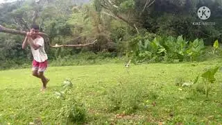 Collecting Wood's at the forest to make fire 🔥 /arls del vlogs