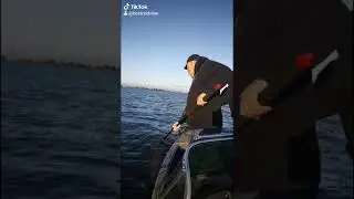 Striped Bass fishing - California Delta