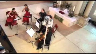 Michelangelo 70.wmv