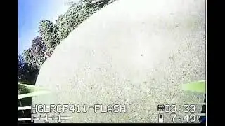 Hglrc parrot 120 pro, maiden after tuning.